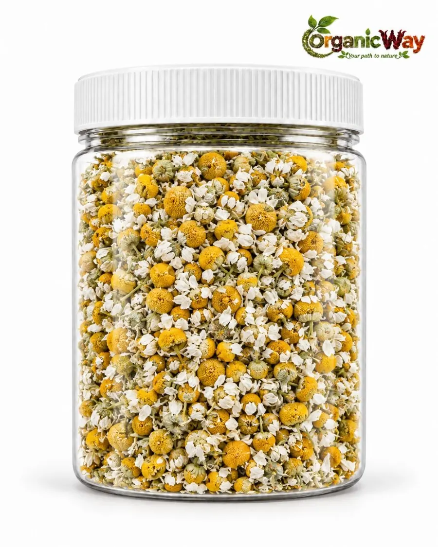 Chamomile product illustration