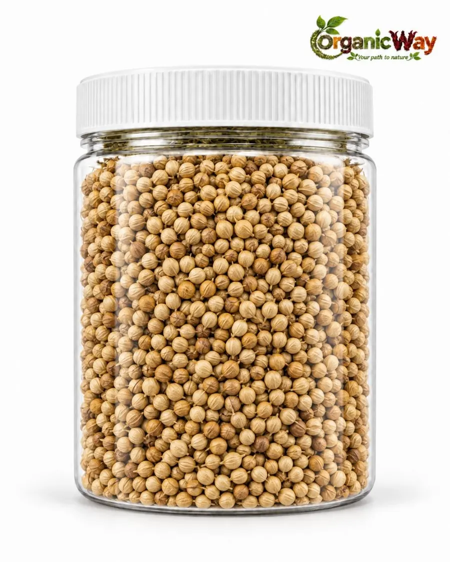 Coriander Seeds product illustration