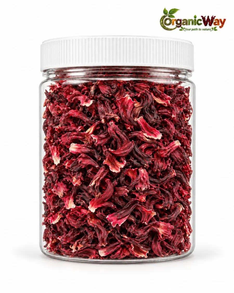 Hibiscus product illustration