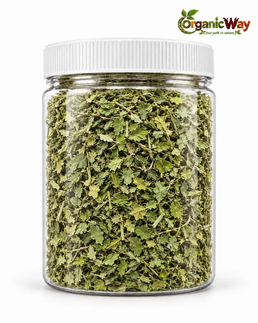 Moringa Leaves product illustration