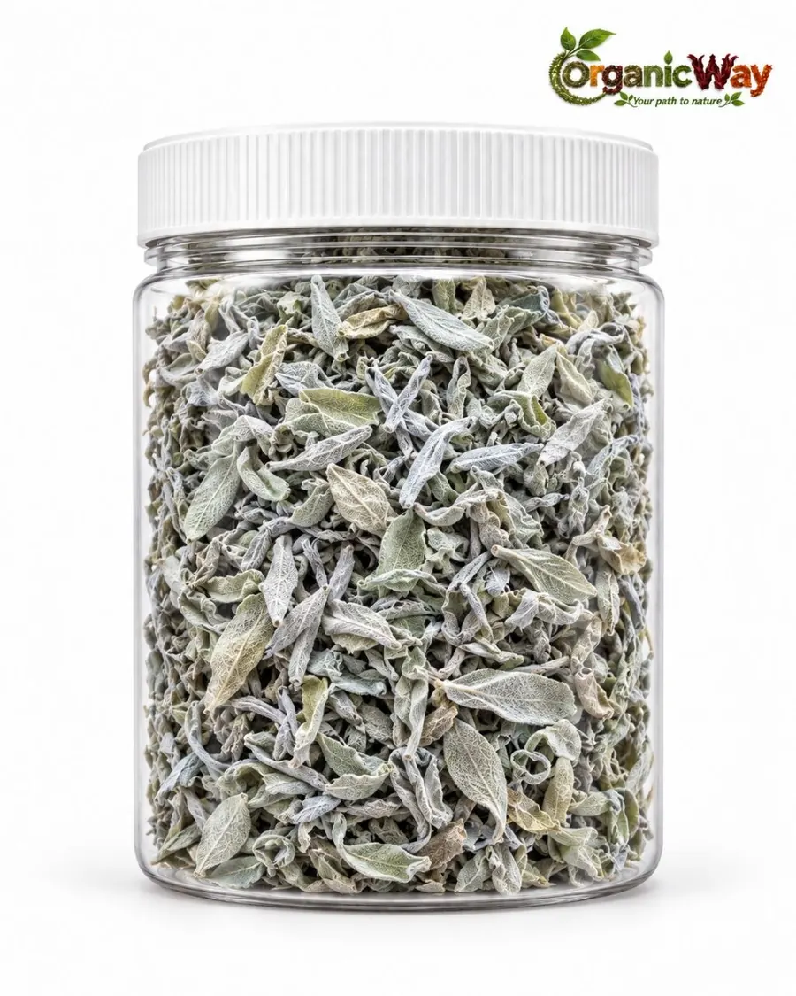 Sage product illustration