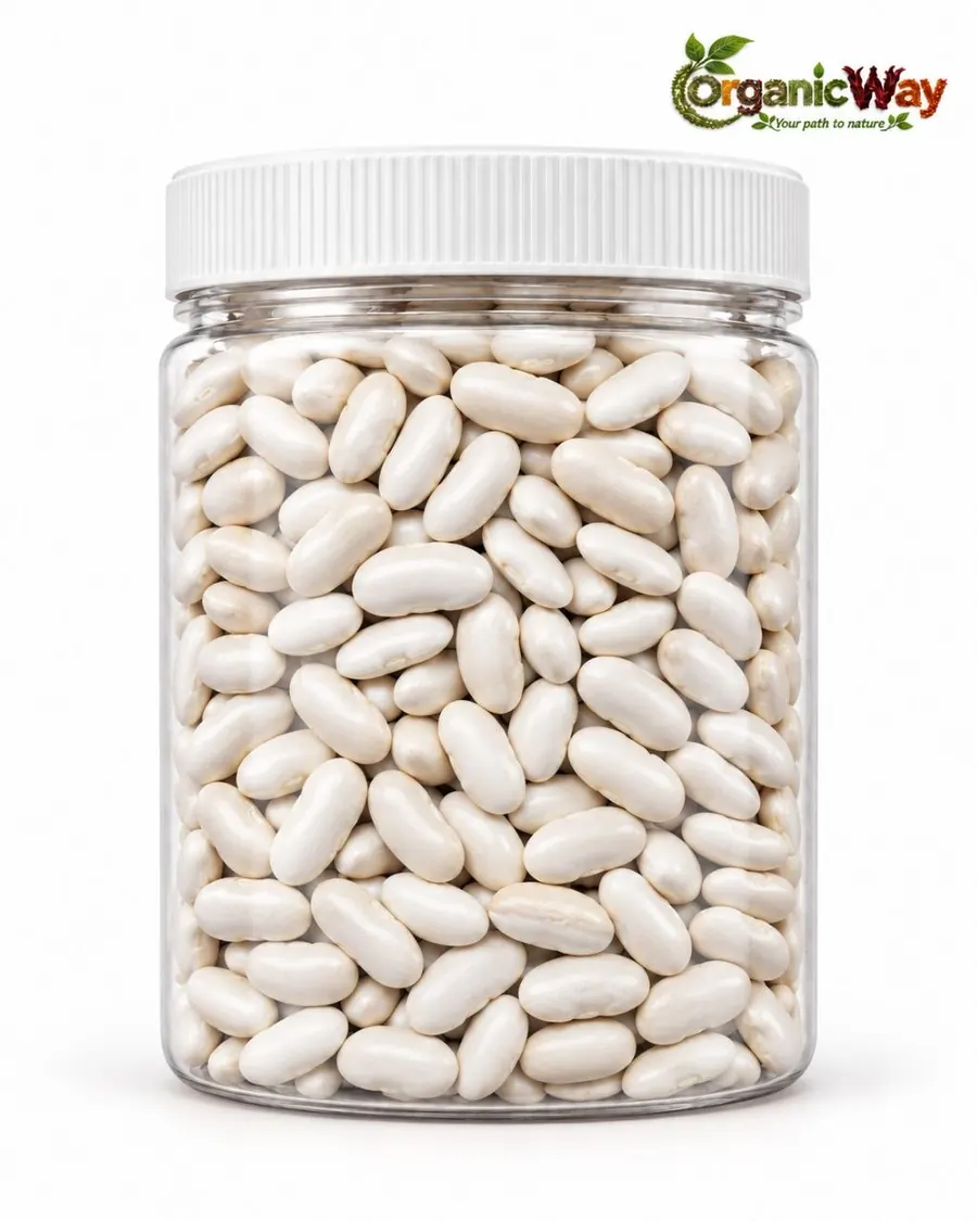 Alubias blancas – Phaseolus vulgaris