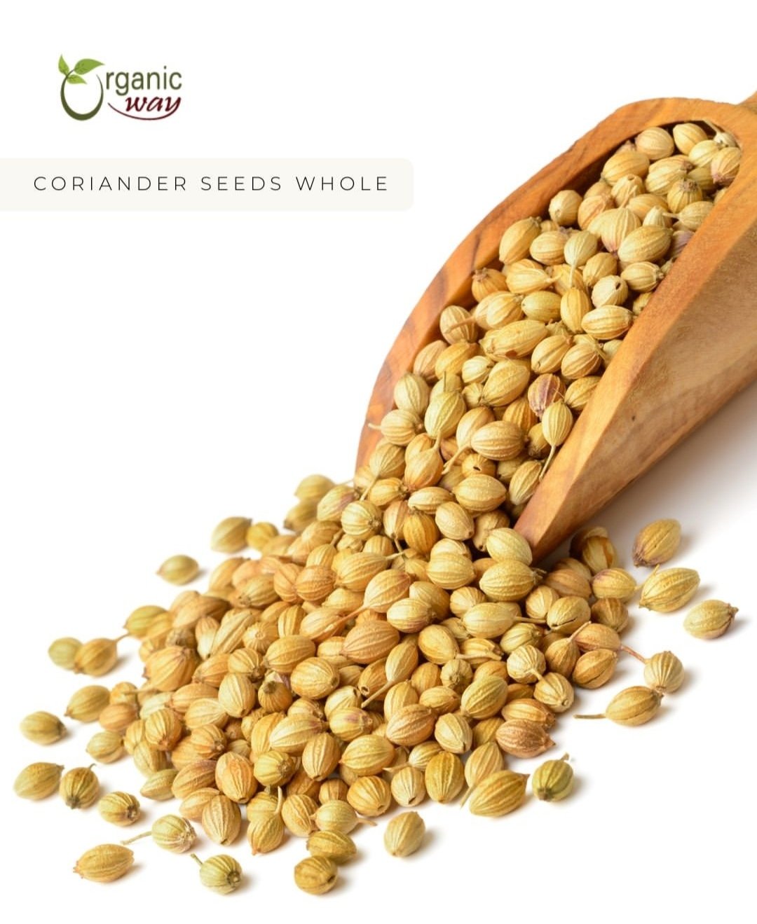 Seeds arranged in a wooden spoon