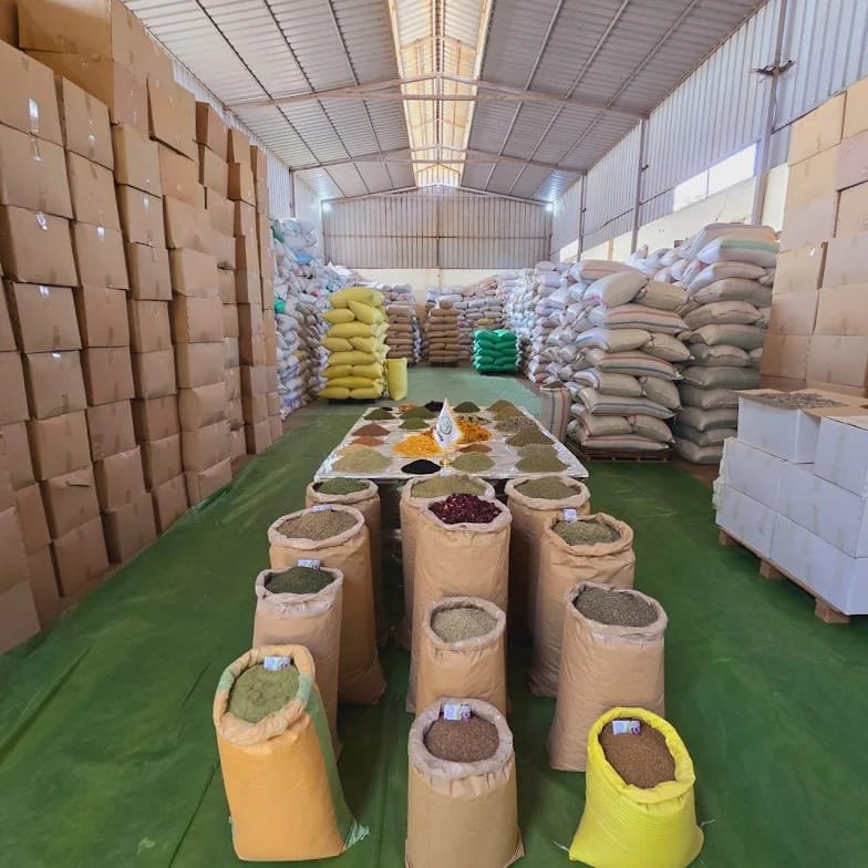 Packed rolls in warehouse